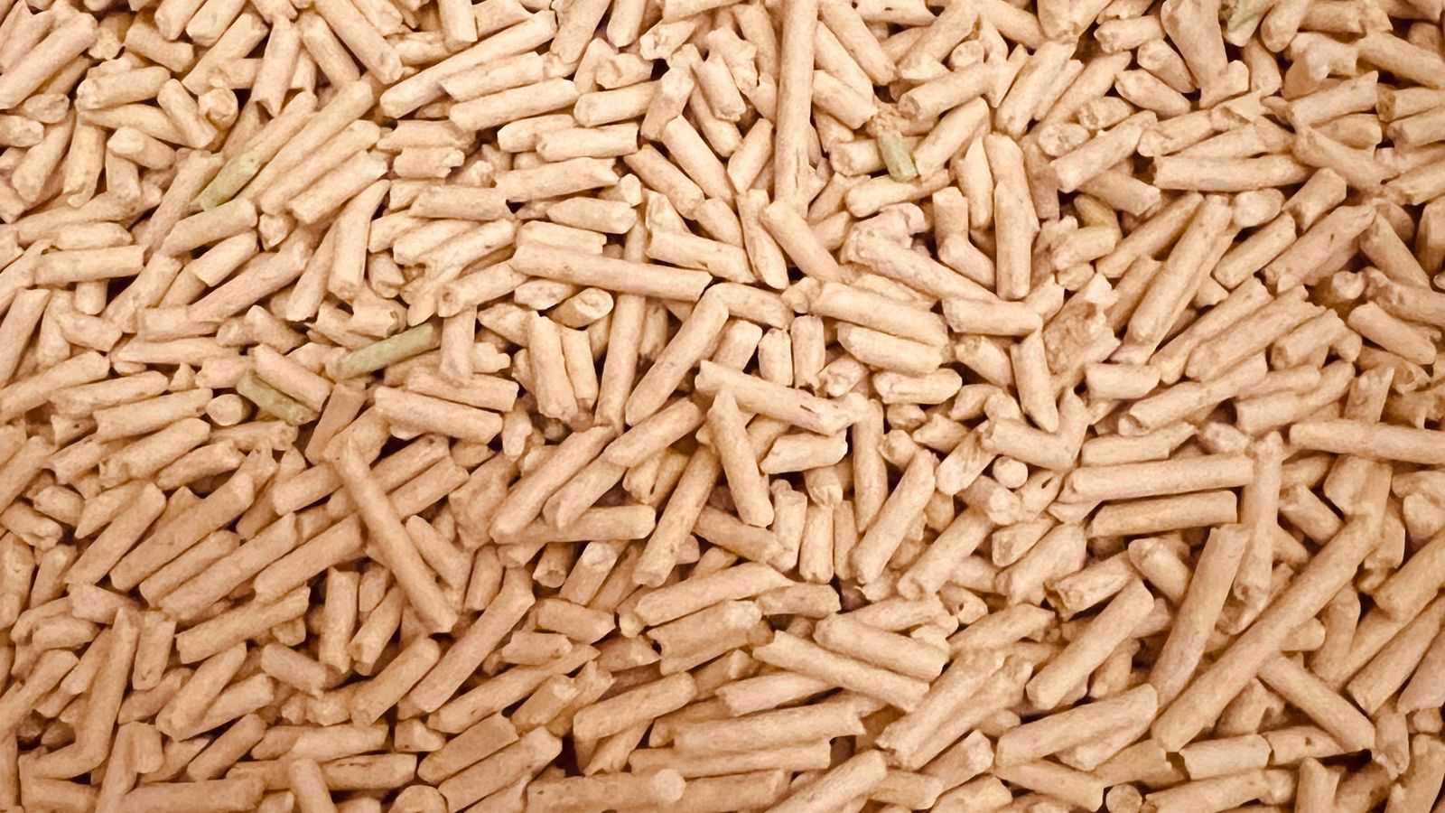 stockage pellets Wallonie